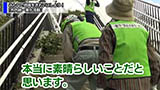 映像